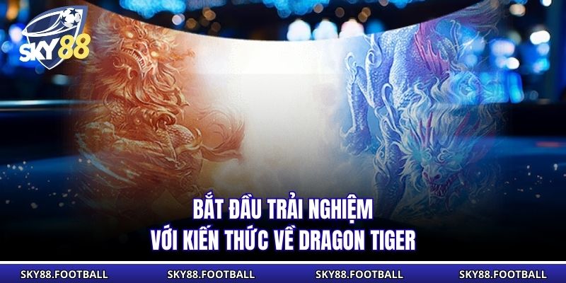 Rồng Hổ - Game Bài Đơn Giản Tỷ Lệ Thưởng Cao tại SKY88 2 Bắt đầu trải nghiệm với kiến thức về Dragon Tiger