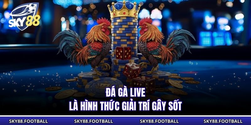 Đá Gà Live SKY88 - Trận Chiến Trực Tiếp Kịch Tính Và Hấp Dẫn 1 Đá gà live là hình thức giải trí gây sốt