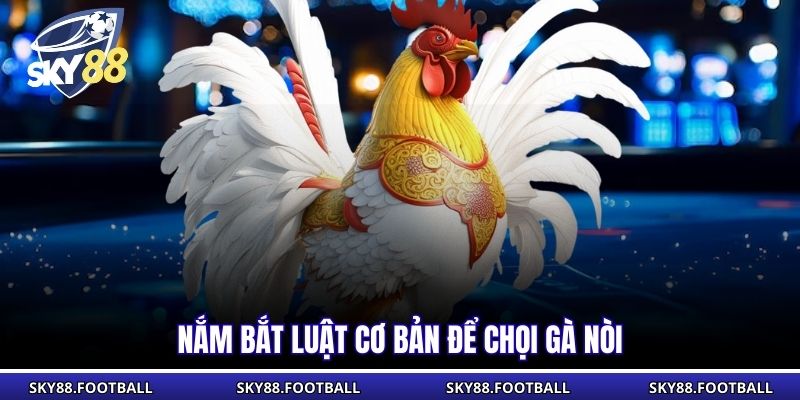 Đá Gà Đòn - Trận Chiến Kịch Tính Đầy Kỹ Thuật Tại SKY88 3 Nắm bắt luật cơ bản để chọi gà nòi