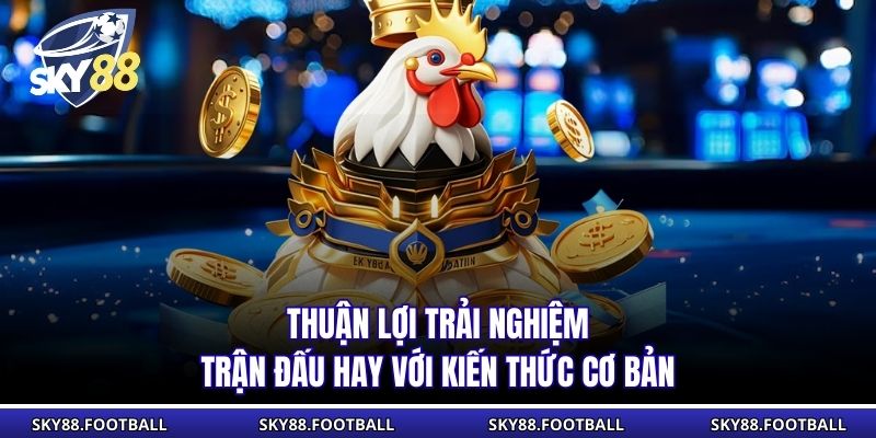 Đá Gà Mỹ - Cuộc Đối Đầu Kịch Tính Trên Nền Tảng SKY88 2 Thuận lợi trải nghiệm trận đấu hay với kiến thức cơ bản